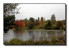 Arboretum04.jpg